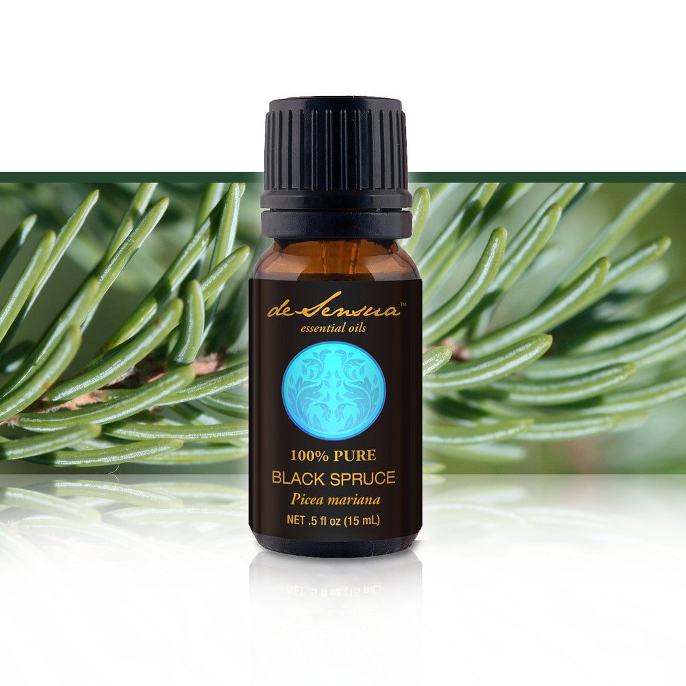 Black Spruce Pure Essential Oil for Immune Health - deSensua