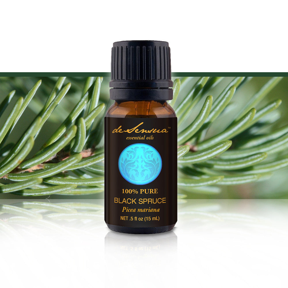 BLACK SPRUCE ESSENTIAL OIL - of 100% Proven Purity - Most Popular for Immune System Boosting