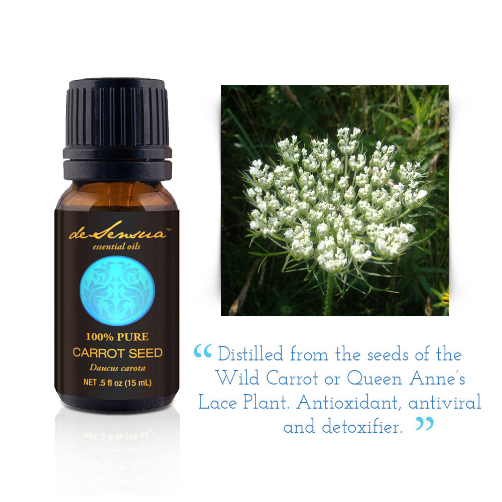 Carrot Seed Pure Essential Oil Best for Anti-Aging Beauty - deSensua