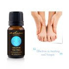 Pure Tea Tree Essential Oil for Glowing Skin, Immunity - deSensua