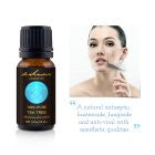 Pure Tea Tree Essential Oil for Glowing Skin, Immunity - deSensua